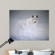 Arctic Winds Wall Decal