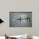Coastal Vapors Wall Decal