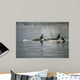 Coastal Vapors Wall Decal