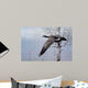 Winter Flight Wall Decal