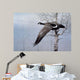 Winter Flight Wall Decal