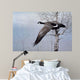 Winter Flight Wall Decal