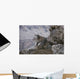 Resting Bobcat Wall Decal