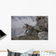 Resting Bobcat Wall Decal