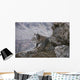 Resting Bobcat Wall Decal