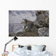 Resting Bobcat Wall Decal