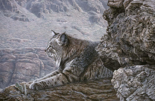 Resting Bobcat Wall Decal