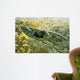 Grizzly Blueberries Wall Decal