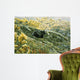 Grizzly Blueberries Wall Decal