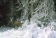 Snow Palace Mule Deer Wall Decal