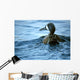 Blue Winged Teal Wall Decal