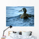 Blue Winged Teal Wall Decal