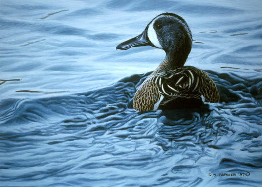 Blue Winged Teal Wall Decal