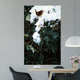 Winter Wren Ivy Wall Decal