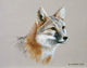 Swift Fox Wall Decal