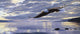 Dawn Flight Wall Decal