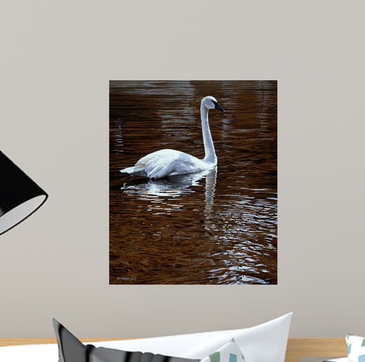 Evening Amber Wall Decal