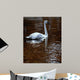 Evening Amber Wall Decal