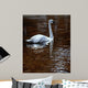 Evening Amber Wall Decal