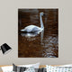 Evening Amber Wall Decal