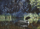 Summer Loon Wall Decal