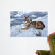 Darkening Sky- Coyote Wall Decal