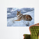 Darkening Sky- Coyote Wall Decal