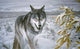 Lone Wolf Wall Decal