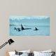 Silent Passage- Orcas Wall Decal