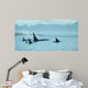 Silent Passage- Orcas Wall Decal