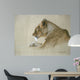 Lioness Wall Decal