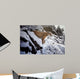 Winter Lookout- Cougar Wall Decal