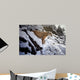 Winter Lookout- Cougar Wall Decal