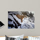 Winter Lookout- Cougar Wall Decal