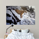 Winter Lookout- Cougar Wall Decal