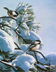 Snow Pine Chickadees Wall Decal