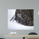 Brown Creeper Wall Decal