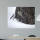 Brown Creeper Wall Decal