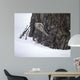 Brown Creeper Wall Decal