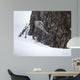 Brown Creeper Wall Decal