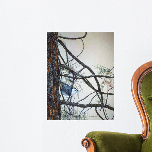 White Breasted Nuthatch Wall Decal