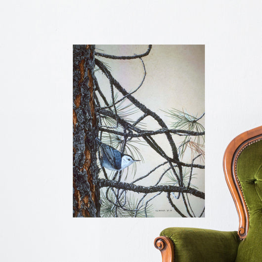 White Breasted Nuthatch Wall Decal