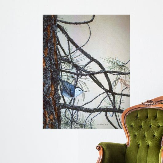 White Breasted Nuthatch Wall Decal