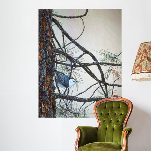 White Breasted Nuthatch Wall Decal