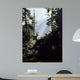 Edge Forest Wall Decal