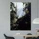 Edge Forest Wall Decal