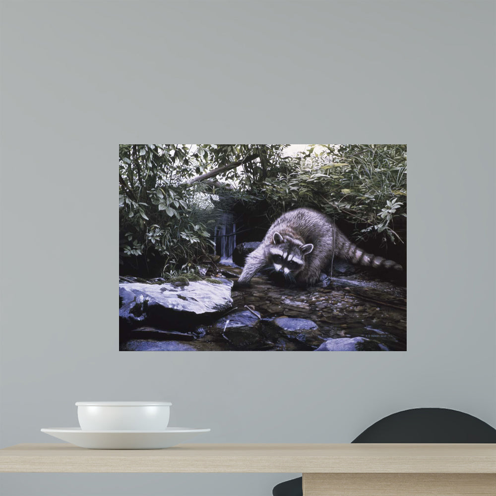 Searching Stream- Racoon Wall Mural – Wallmonkeys