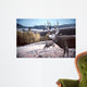 Mule Deer Aspen Wall Decal
