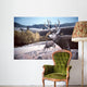 Mule Deer Aspen Wall Decal