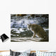 Bobcat Wall Decal